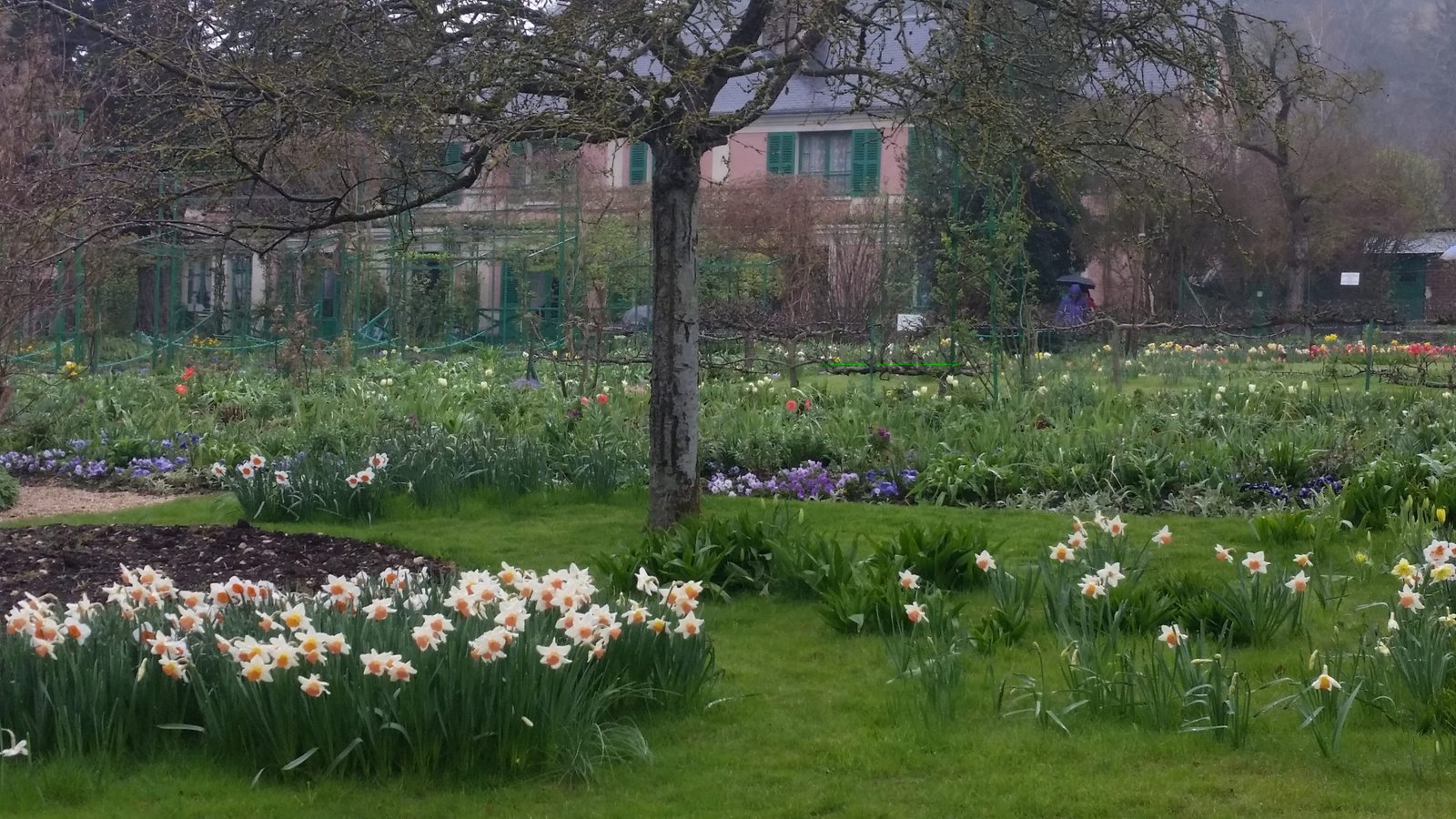 Claude Monet's garden at Giverny